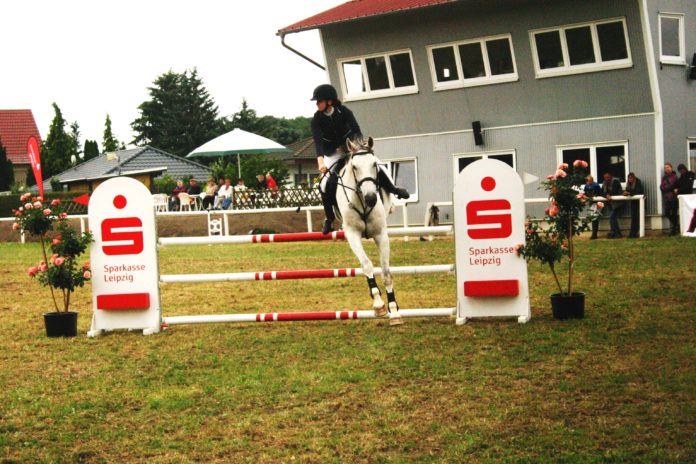 Linda Günther vom RSV Oberrothenbach bei Zwickau errang auf ihrem Schimmel „Kleiner Onkel“ bei der Springprüfung 17/1-Kl.L unter den 32 Startern den 9. Platz.Foto: wr