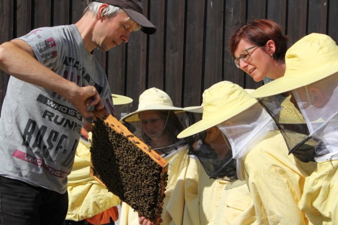 Bienenkönigin