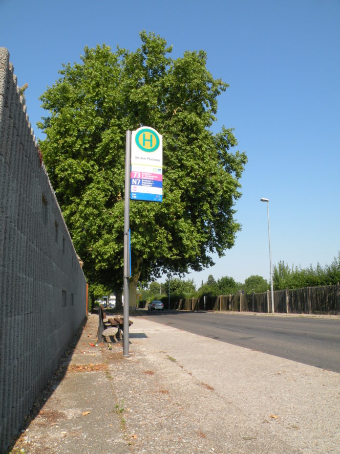 radweg mölkau und bushalte und natur 038