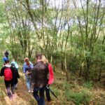 Goitzschewanderung