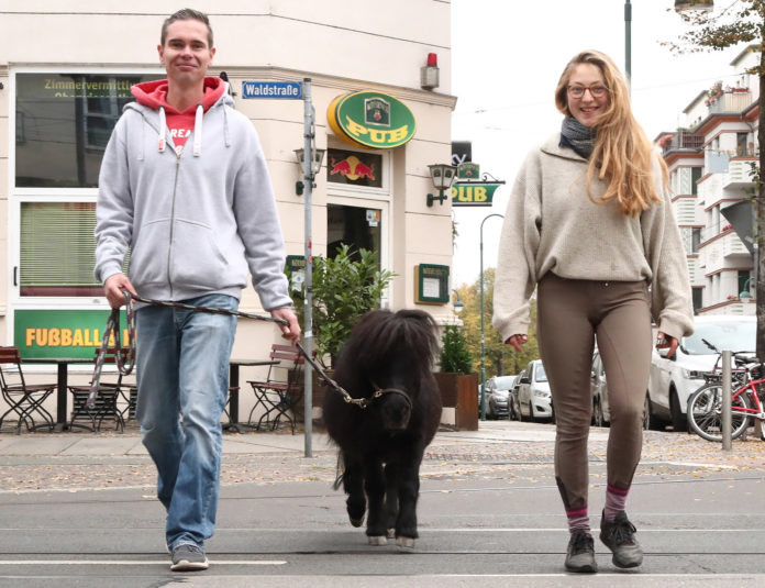 Pony Pepper in der City
