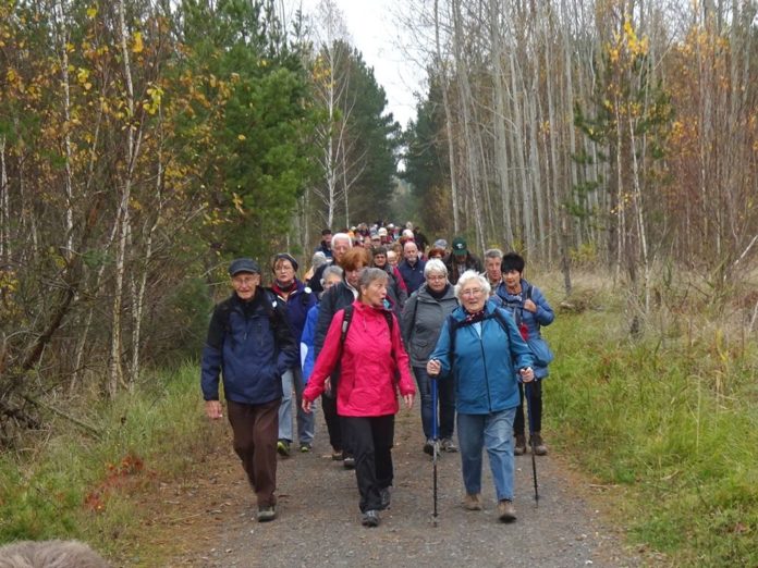 2017-11-08 Orgeltour 05