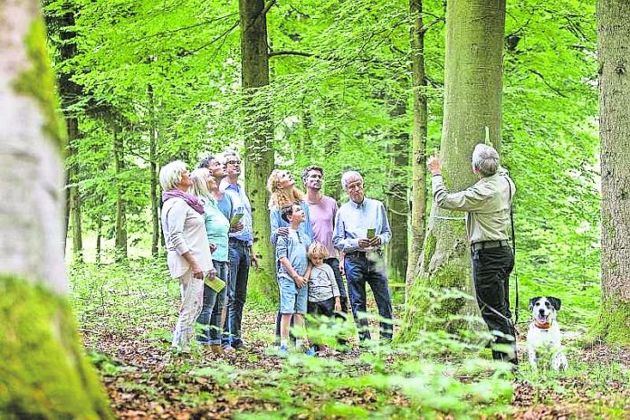 FriedWald-Waldführung-Web