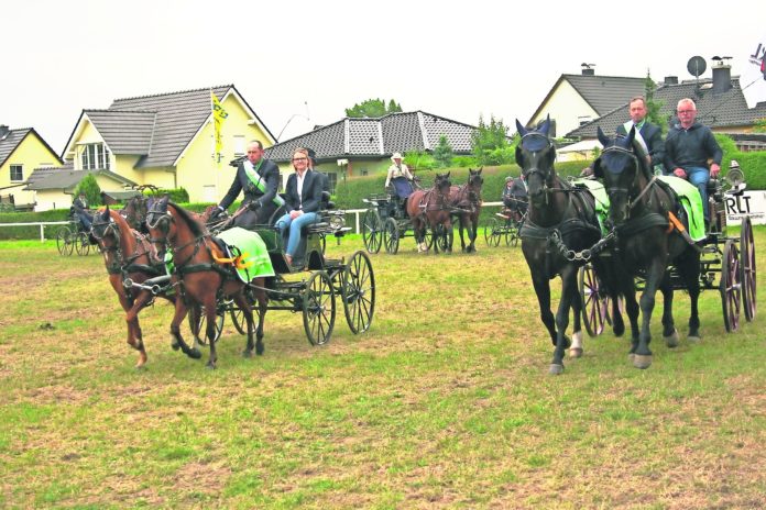 14.07.19-Foto1-Pferdesport-Fahrturnier in Frohburg v. W. Riedel 021