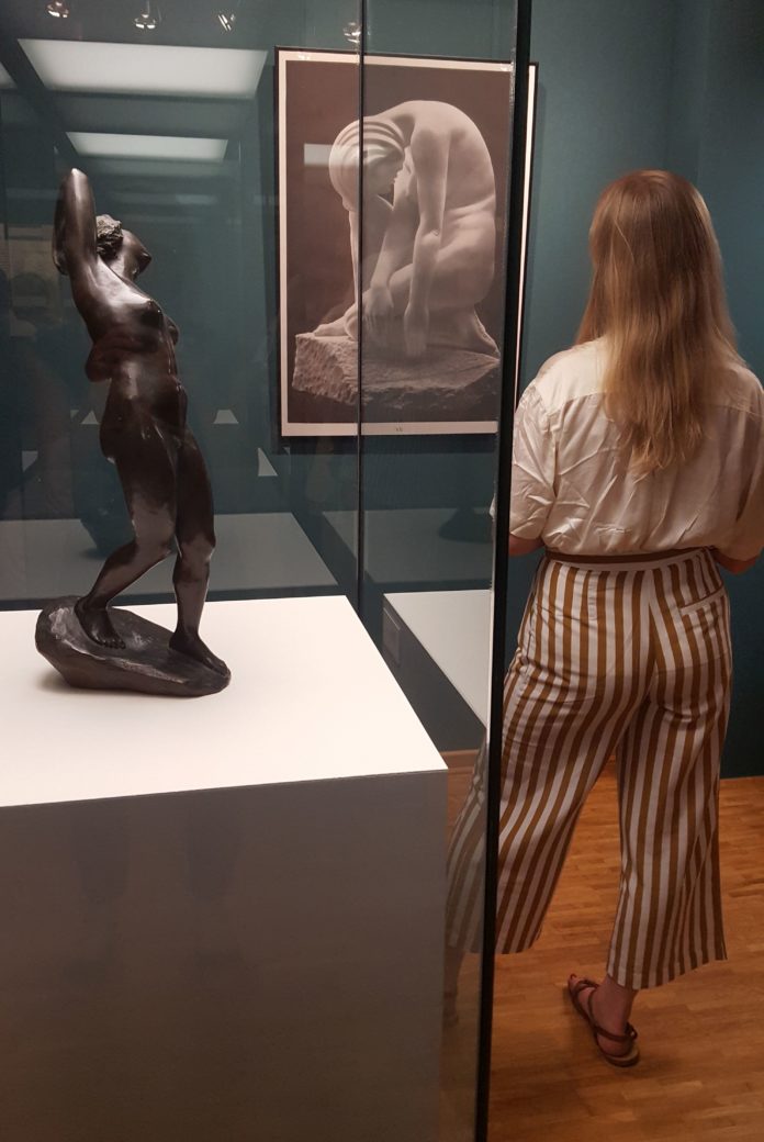 Blick in die Chamizer-Ausstellung_Foto SGM