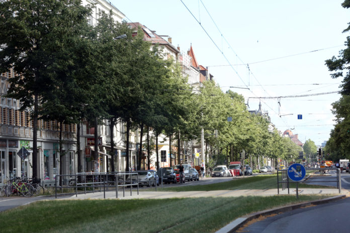 Stra§enbume in Leipzig