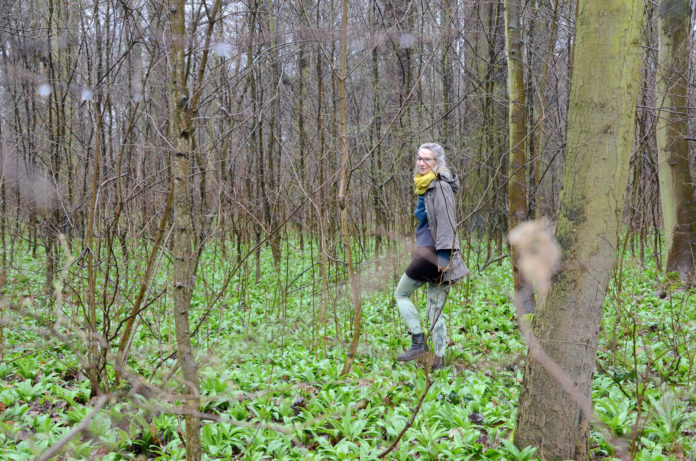 2waldbaden-katzer