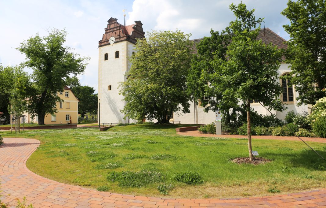 Kirchgarten Ave von Schönfeldt in Löbnitz