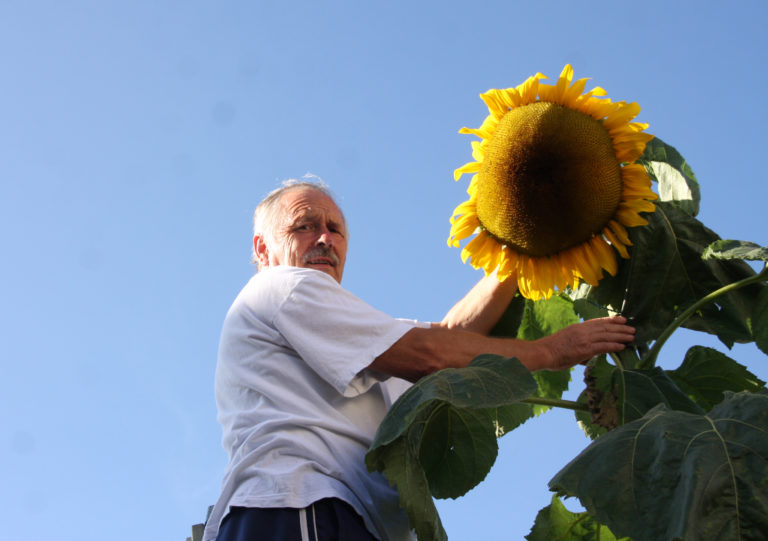 Ein sonniges Exemplar