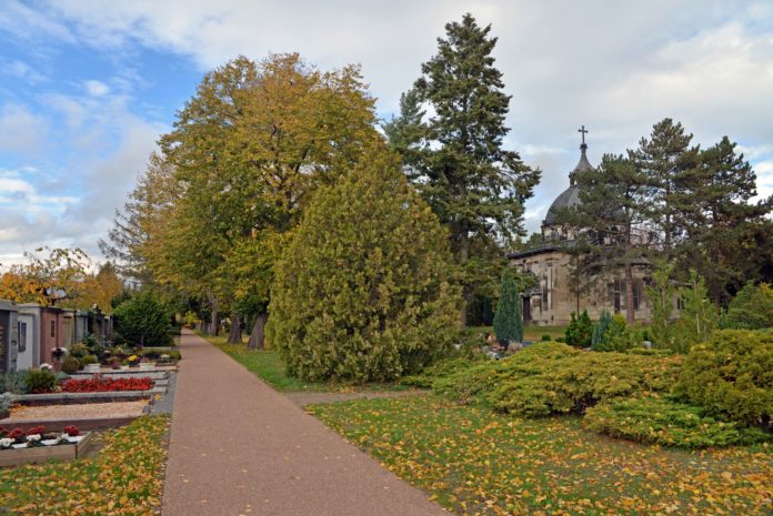 Delitzsch_Friedhof_Wege