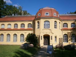 Das Altenburger Naturkundemuseum Mauritianum im Schlosspark der Skatstadt. Foto: Ralf Miehle