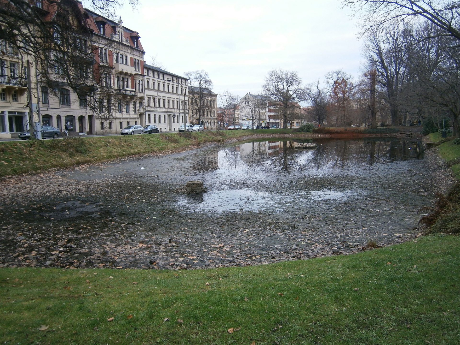 Pauritzer Teich wird gereinigt › Sachsen Sonntag & Rundschau