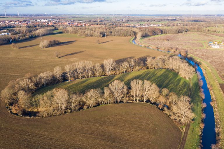Wei&szlig;e Elster wird aufgewertet