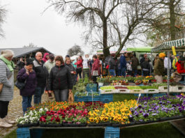 Ostermarkt an der an der Bockwindm&uuml;hle im Altenburger Land - Rositzer Peter Rehfeld mit seinen Ostereiern war das erste mal vertreten