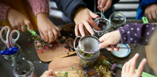 Wildkräuter sammeln und selbst zubereiten macht Spaß