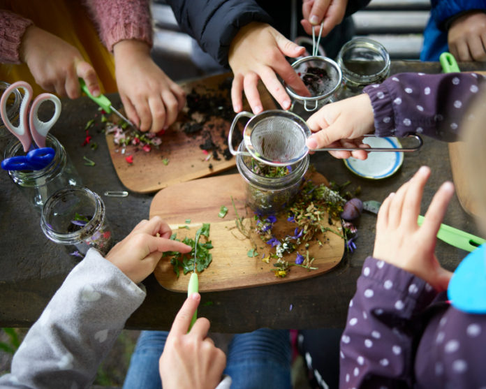 Wildkr&auml;uter sammeln und selbst zubereiten macht Spa&szlig;