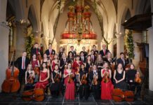 Das Haydn Youth Springs Orchestra tritt beim Altenburger Musikfestival auf.