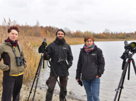 Lena Urban, Alexander Thomas und Heike Franke (von links) sind im Naturschutzgebiet regelm&auml;&szlig;ig unterwegs - hier am Ufer des Zwochauer Sees. Foto: Alexander Bley