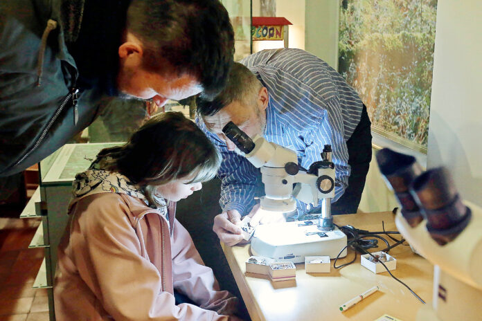 Genau hinschauen k&ouml;nnen die Kinder im Mauritianum. Hier im Naturkundemuseum werden unterschiedliche Exponate mithilfe eines Mikroskops betrachtet. Foto: Jens Paul Taubert
