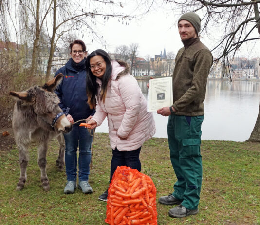 Saskia Gr&auml;fe (links) und Phornphan Geier (beide Schm&ouml;llner Landhandelsgesellschaft) brachten ihrem Patentier Futter mit. Tierpfleger Vinzenz Schmid &uuml;bergab den Patenbrief. Foto: Ronny Seifarth