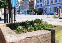 Die Stadt Schmölln möchte die Pflanzkübel auf dem Markt erneuern und dann an Paten übergeben. Foto: Stadtverwaltung Schmölln