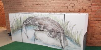 Mittels 3-D-Puzzle lässt sich die heimische Tier- und Pflanzenwelt im Rahmen der neuen Sonderausstellung „Perspektivwechsel – Natur(a) 2000 erleben vor deiner Haustür“ im NaturparkHaus Bad Düben spielerisch erkunden. Foto: LPVTO