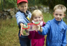 Kinder gehen in den Ferien auf Spurensuche in der Dübener Heide.