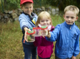 Kinder gehen in den Ferien auf Spurensuche in der D&uuml;bener Heide.
