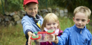Kinder gehen in den Ferien auf Spurensuche in der Dübener Heide.
