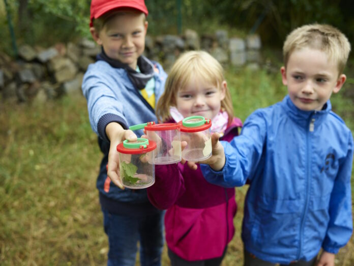 Auf_Spurensuche_in_der_Natur__C__Naturpark_D__bener_Heide Kinder gehen in den Ferien auf Spurensuche in der Dübener Heide.