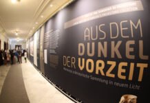 Spielt im Sommer eine große Rolle: die aktuelle Sonderausstellung „Aus dem Dunkel der Vorzeit“. Foto: Mario Jahn