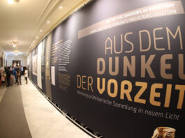 Spielt im Sommer eine gro&szlig;e Rolle: die aktuelle Sonderausstellung &bdquo;Aus dem Dunkel der Vorzeit&ldquo;. Foto: Mario Jahn