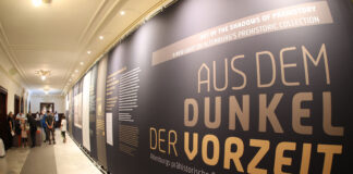Spielt im Sommer eine große Rolle: die aktuelle Sonderausstellung „Aus dem Dunkel der Vorzeit“. Foto: Mario Jahn