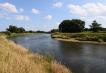 Die Mulde in Bad Düben