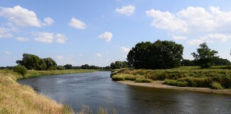 Die Mulde in Bad Düben