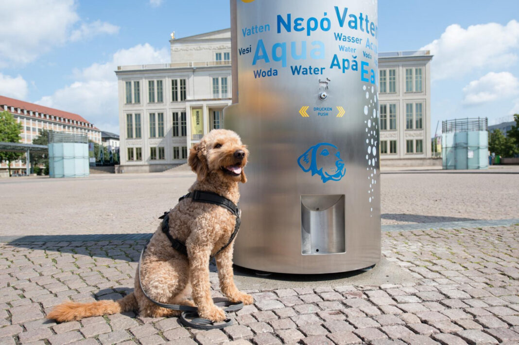 Bietet auch Erfrischendes für den Hund: Der neue Riesenbrunnen 