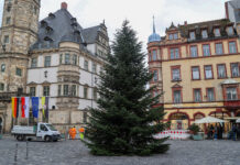 Der Altenburger Markt bekam seine Tannenbaum für den Weihnachtsmarkt im Vorjahr aus Zschernitzsch. Foto: Mario Jahn