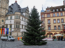 Der Altenburger Markt bekam seine Tannenbaum f&uuml;r den Weihnachtsmarkt im Vorjahr aus Zschernitzsch. Foto: Mario Jahn