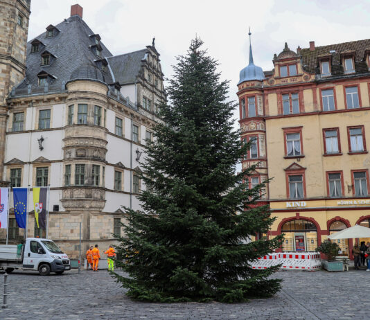 Der Altenburger Markt bekam seine Tannenbaum f&uuml;r den Weihnachtsmarkt im Vorjahr aus Zschernitzsch. Foto: Mario Jahn