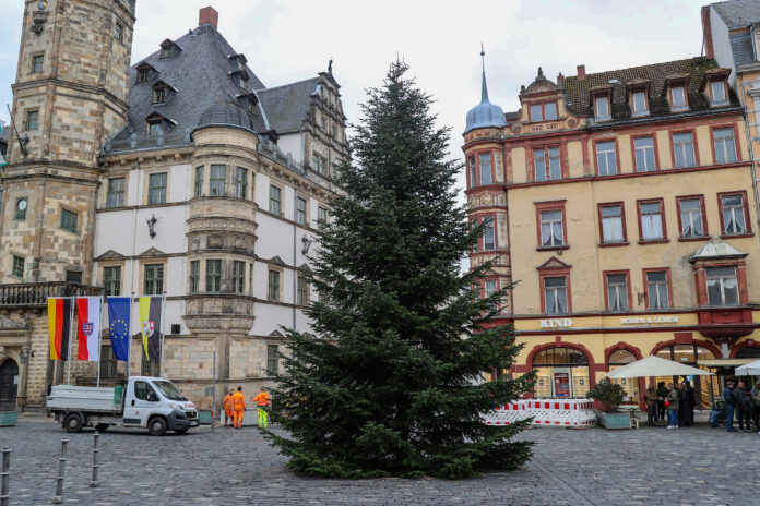 Altenburger Weihnachtsmarkt Der Altenburger Markt bekam seine Tannenbaum für den Weihnachtsmarkt im Vorjahr aus Zschernitzsch. Foto: Mario Jahn