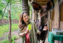 Drehstart zur IX. Staffel Tierärztin Dr. Merten: Drehstart für 13 neue Folgen mit Elisabeth Lanz im Leipziger Zoo und anderen Schauplätzen, hier im Okapi-Gehege. Foto: ARD
