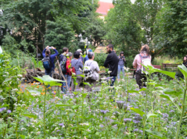 Ist im 30. Jahr des Bestehens ein beliebtes Ausflugsziel, ein Ort der Umweltbildung und ein Platz zum Mitmachen &ndash; der Stadtgarten Connewitz. Foto: &Ouml;kol&ouml;we e.V.