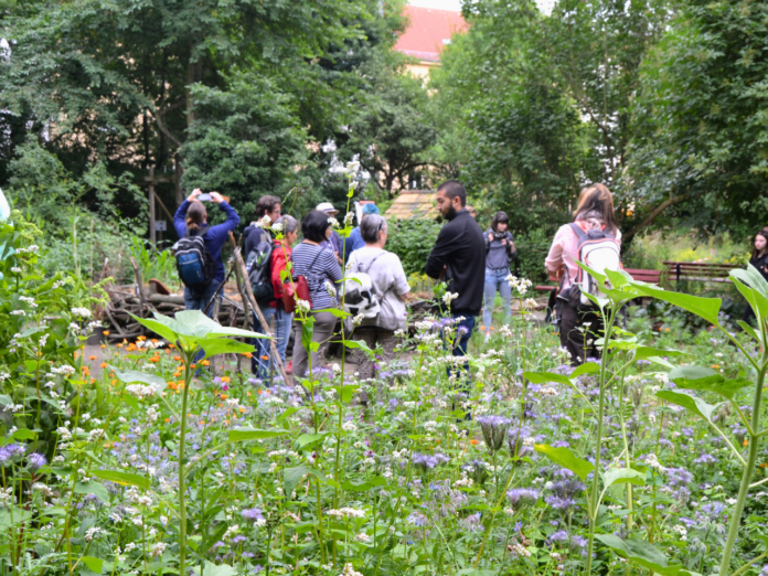 Stadtgarten_Connewitz______kol__we_e._V_._-_4_ Ist im 30. Jahr des Bestehens ein beliebtes Ausflugsziel, ein Ort der Umweltbildung und ein Platz zum Mitmachen – der Stadtgarten Connewitz. Foto: Ökolöwe e.V.