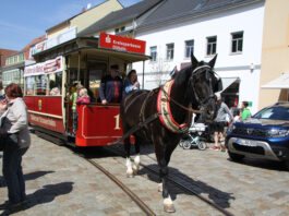 Die D&ouml;belner Pferdebahn verkehrt zwischen Ober- und Niedermarkt &ndash; eine tolle Mitfahrgelegenheit f&uuml;r Besucherinnen und Besucher. Foto: Gerhard D&ouml;rner