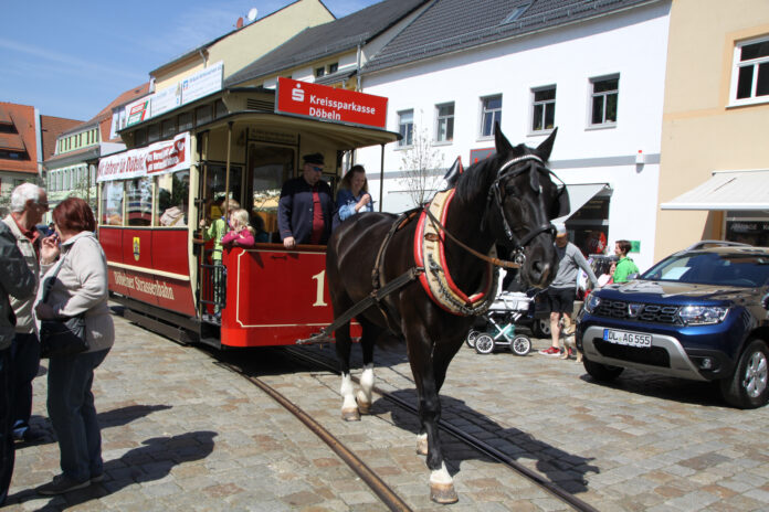 pferdebahn Die Döbelner Pferdebahn verkehrt zwischen Ober- und Niedermarkt – eine tolle Mitfahrgelegenheit für Besucherinnen und Besucher. Foto: Gerhard Dörner