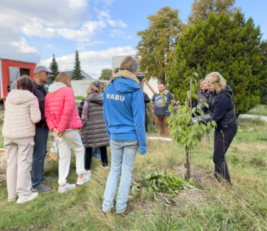 Beim Interkulturellen Erntedank im NABU Zukunftsgarten in Gnandorf konnte man auch viele Dinge zum Thema Obstbaum-Pflege erfahren. Foto: Nabu