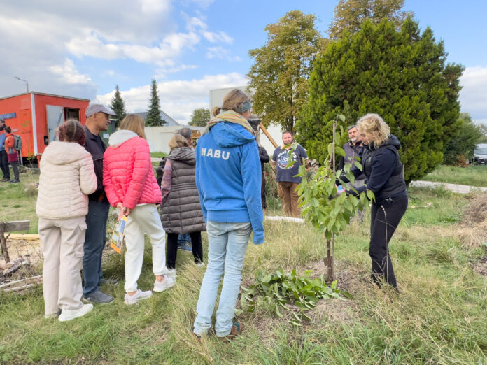240929_NABU_Borna_Erntefest_Robert_Beske-29 Beim Interkulturellen Erntedank im NABU Zukunftsgarten in Gnandorf konnte man auch viele Dinge zum Thema Obstbaum-Pflege erfahren. Foto: Nabu