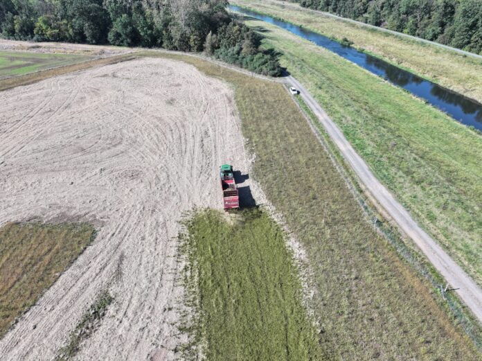 default So sah er aus, der Mahdübertrag auf dem Acker am Pfingstanger in Leipzig. Foto: Landestalsperrenverwaltung Sachsen