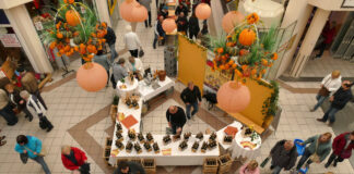 Die 25. Muldentaler Produktschau in Grimmas PEP-Einkaufsmarkt findet Anfang November statt. Foto: Thomas Kube