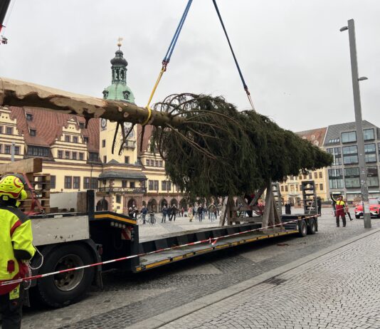 Er ist da, der Leipziger Weihnachtsbaum 2024: Die 20 Meter hohe Fichte auf dem Markt wurde in diesen Tagen angeliefert - und nat&uuml;rlich gleich aufgestellt. Foto: Andr&eacute; Kempner